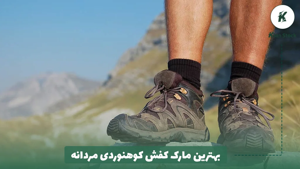 بهترین مارک کفش کوهنوردی مردانه
