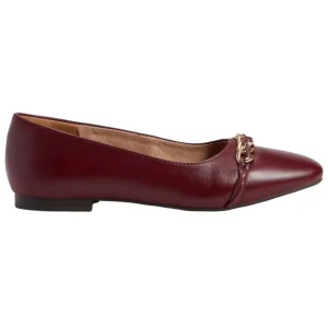 کالج طبی چری rockport