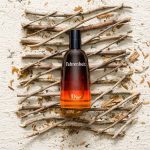 عطر دیور فارنهایت | Dior Fahrenheit - Image 5