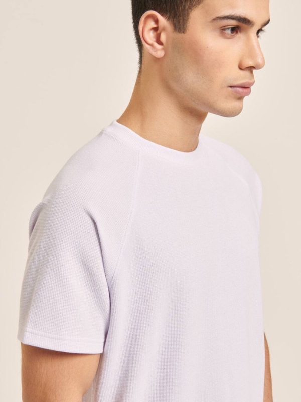 تیشرت ALCOTT سفید - Image 4