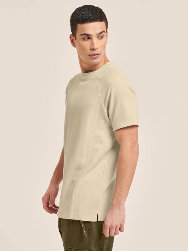 تیشرت ALCOTT کرم - Image 4