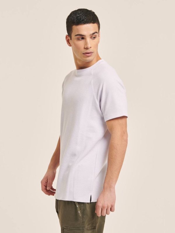 تیشرت ALCOTT سفید - Image 2