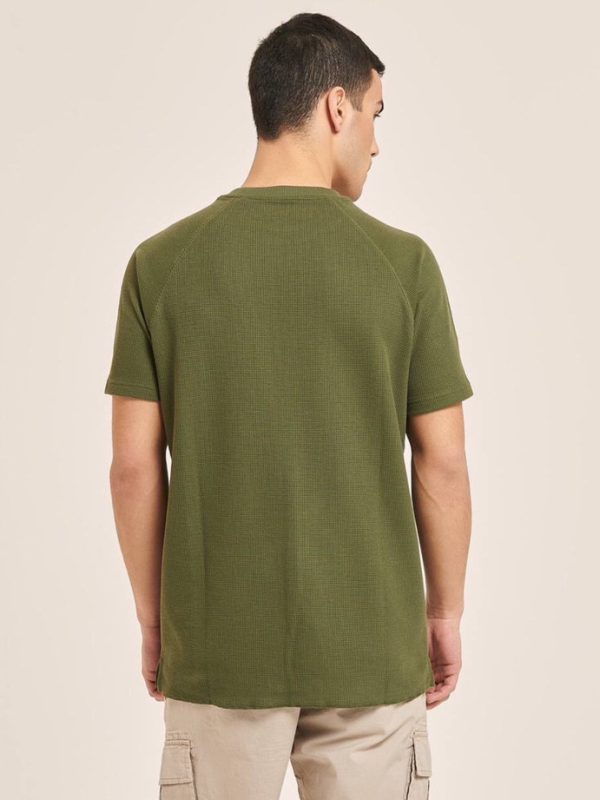 تیشرت ALCOTT سبز - Image 2