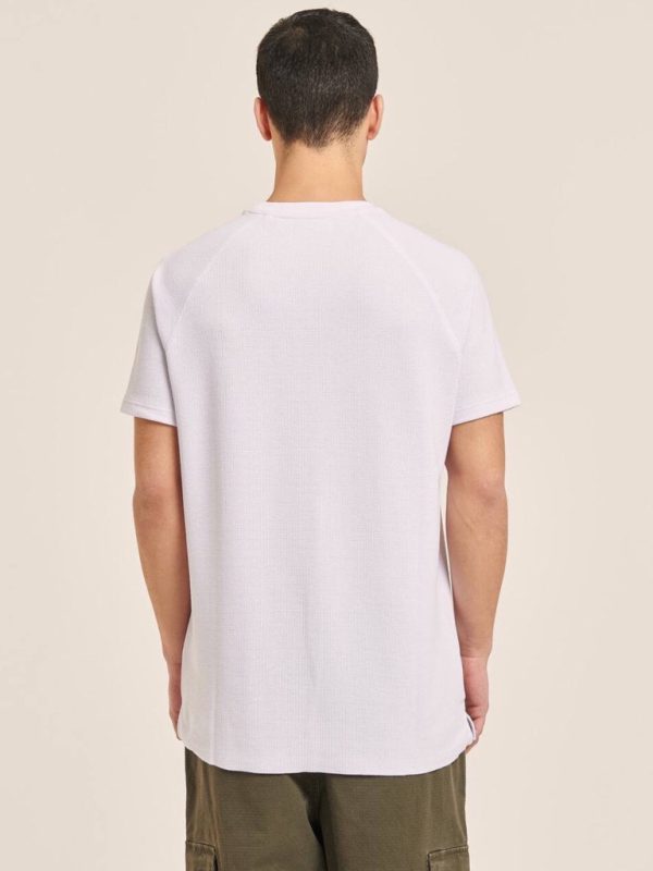 تیشرت ALCOTT سفید - Image 5