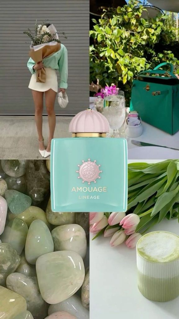 عطر آمواج لینیج | Amoauge Lineage - Image 5