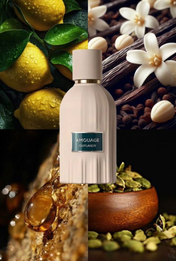 عطر آمواج اوتلند |Amouage Outlands - Image 5