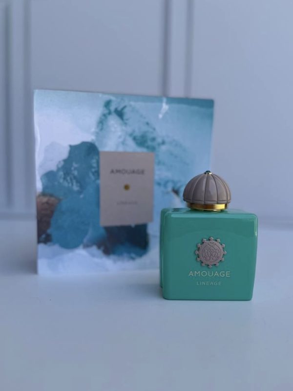 عطر آمواج لینیج | Amoauge Lineage - Image 4