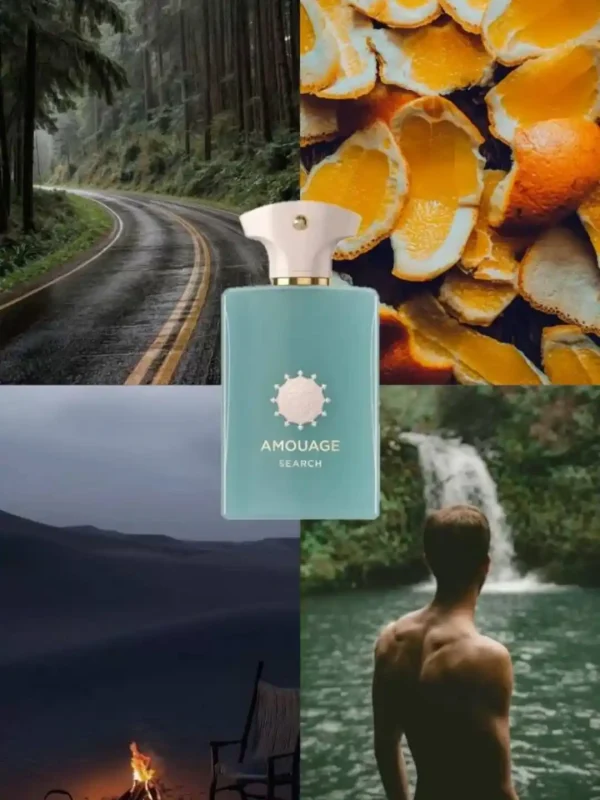 عطر آمواج‌ سرچ | Amouage Search - Image 6