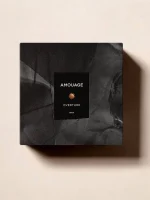 عطر آمواج اورتور | Amouage Overture Man - Image 2