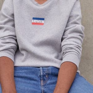 دورس طوسی LEVIS