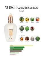 عطر زرجوف رنسانس | Xerjoff Renaissance - Image 5