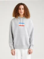 هودی طوسی levis