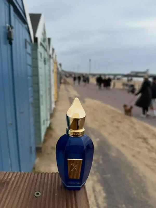 عطر زرجوف تورینو۲۴ | Xerjoff Torino 24 - Image 4