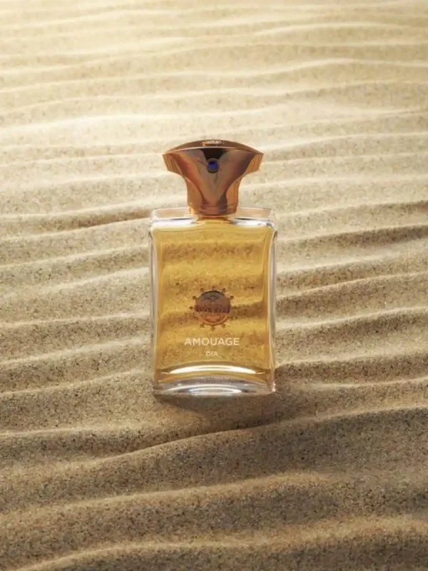 عطر آمواج دیا | Amouage Dia Man - Image 3
