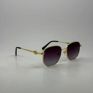 عینک گوچی gg2206s